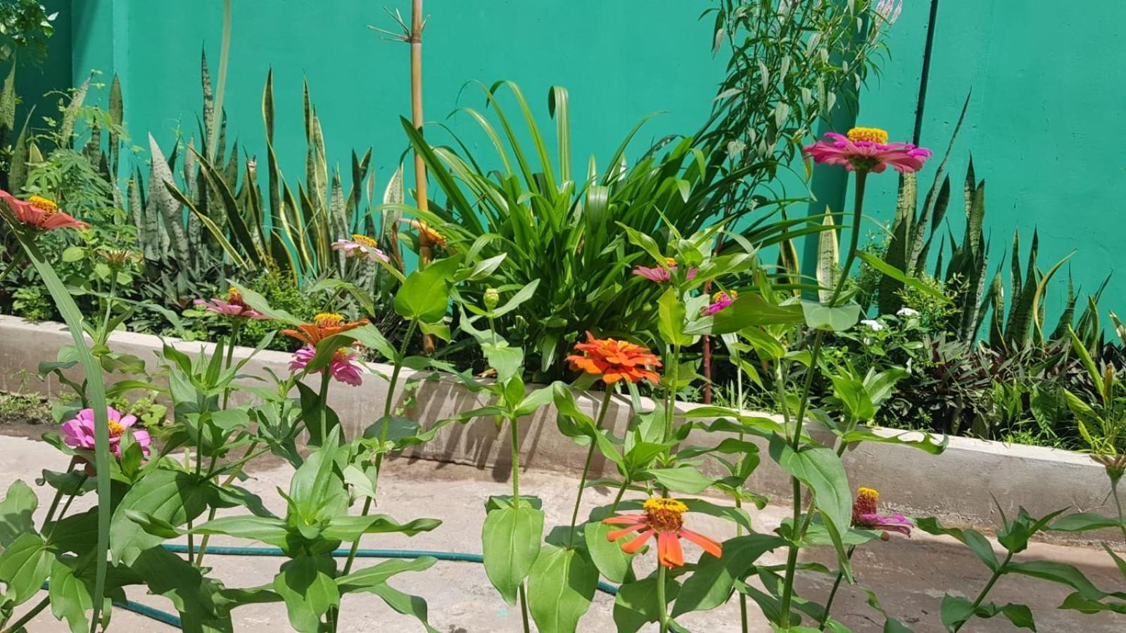 Bloom Garden Bed & Breakfast Sziemreap Kültér fotó