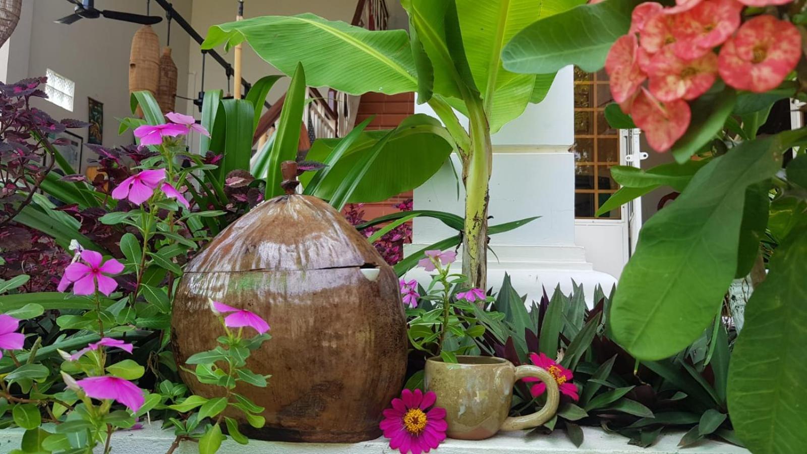 Bloom Garden Bed & Breakfast Sziemreap Kültér fotó