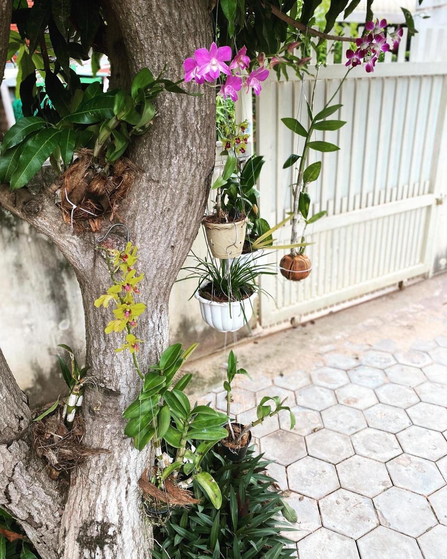 Bloom Garden Bed & Breakfast Sziemreap Kültér fotó